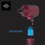 Uscător de Păr Taurus Castaniu 2400 W