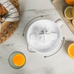 Storcător Electric UFESA 71206113 40 W 1 L