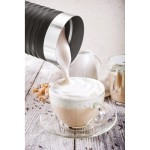 Aparat de Spumat Laptele UFESA 71606200 Oțel