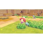 Consolă de Jocuri Portabilă Nintendo 10016242