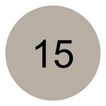 Corector de Față Catrice Ultimate Camouflage Nº 015w-Fair 3 g