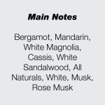 Parfum Unisex Initio MUSK THERAPY 90 ml