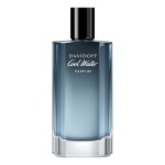 Parfum Bărbați Davidoff 99350046270 EDP 100 ml