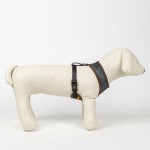 Ham pentru câini Harry Potter Reversibil/ă Roșu XS