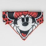 Welcome Gift Set for Dogs Minnie Mouse Roșu 28 x 30 x 6,8 cm 5 Piese