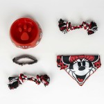 Welcome Gift Set for Dogs Minnie Mouse Roșu 28 x 30 x 6,8 cm 5 Piese