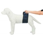 Protector pentru Incontinență Trixie Tată Abdomen