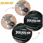 Ham pentru câini Julius K9 IDC Negru