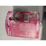 Playset Playmobil Playmo-Friends Violinist 71198 5 Piese