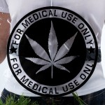 Costum Deghizare pentru Adulți My Other Me Marihuana Mărime unică