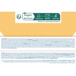 Jucărie de Pluș Clementoni Bob Urs 16 x 22,5 x 8,5 cm