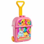 Jucărie de tras și împins Moltó 20 Piese