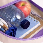 Ghiozdan Stitch Albastru