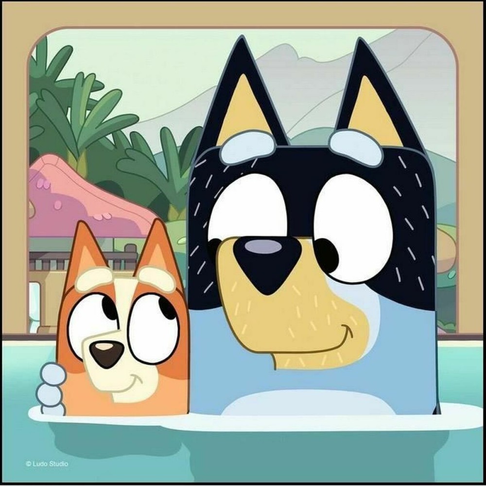 Set de 3 Puzzle-uri Ravensburger 147 Piese