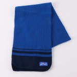 Căciulă și Mănuși The Paw Patrol Albastru