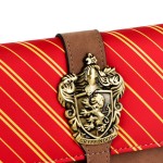 Ghiozdan Harry Potter