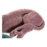 Figură Decorativă DKD Home Decor Verde Roz deschis Tigru 36 x 17,5 x 13,3 cm (2 Unități)