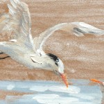 Pânză DKD Home Decor Pin Pânză 45 x 2,7 x 45 cm