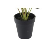 Plantă decorativă DKD Home Decor Roz Verde PE (10 x 10 x 27 cm)