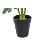 Plantă decorativă DKD Home Decor Verde PE (20 x 20 x 40 cm)