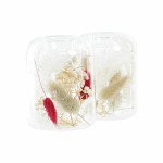 Suport de Lumânări DKD Home Decor Bej Castaniu Aluminiu Geam 8 x 8 x 11 cm Floare uscată (2 Unități) (2 Piese)