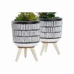 Plantă decorativă DKD Home Decor Ceramică Negru Polietilenă Alb Verde (7 x 7 x 19 cm) (2 Unități)