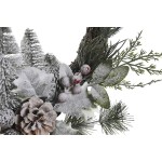 Coroană de Crăciun DKD Home Decor Natural răchită Ananas Ninsoare 46 x 7 x 46 cm (2 Unități)