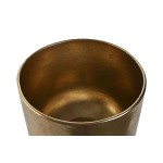 Frapieră Home ESPRIT Auriu* Rășină Tropical 33 x 22 x 34,5 cm