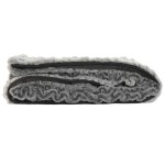 Pătură Home ESPRIT Gri 130 x 170 x 2 cm