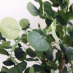 Copac Home ESPRIT Poliester Lemn Цимент Eucalipt 90 x 90 x 180 cm