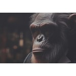 Pânză Home ESPRIT Pânză 120 x 3 x 80 cm