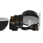 Difuzor de Uleiuri Esențiale Home ESPRIT 10 ml (4 Piese)