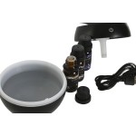 Difuzor de Uleiuri Esențiale Home ESPRIT 10 ml (4 Piese)