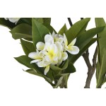 Copac Home ESPRIT Polietilenă 80 x 80 x 150 cm