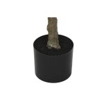 Copac Home ESPRIT Polietilenă 80 x 80 x 150 cm