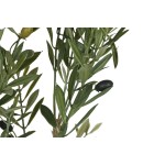 Copac Home ESPRIT Polietilenă Măslin