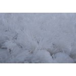 Covor Home ESPRIT 200 x 300 cm