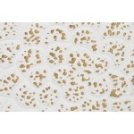 Figură Decorativă Home ESPRIT Alb Auriu* Floare murat 137 X 11 X 56,5 CM