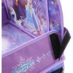 Organizator pentru scaunul auto Frozen CZ10641 Liliachiu