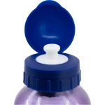 Sticlă de apă Frozen CZ11261 530 ml Albastru Aluminiu