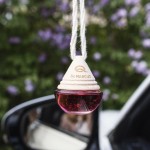 Odorizant pentru Mașină Dr Marcus Wood Gumă de mestecat Pandantiv