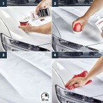 Set de pictură Sonax SX02960000