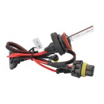 Bec auto M-Tech MTECKDCMPH118 H11 8000K