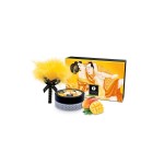 Pudră comestibilă Shunga MANGO 75 g