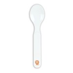 Set de Menaj pentru Copii Safta Leon PVC