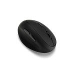 Mouse Kensington K79810WW             Negru