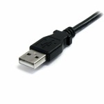 Cablu USB Startech USBEXTAA6BK          USB A Negru