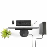 Adaptor DisplayPort la DVI Startech DP2DVI2MM6           (1,8 m) Negru 1.8 m