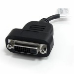 Adaptor DisplayPort la DVI Startech DP2DVIS              Negru
