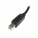 Cablu USB A la USB B Startech USB2HAB3M            Negru